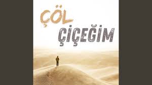 Ender Tekin - Çöl Çiçeğim